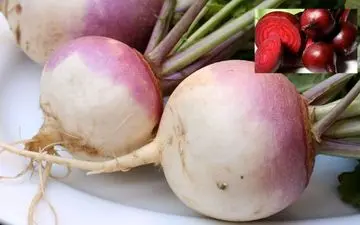 شلغم و خواص شگفت انگیز آن