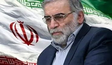 طراح ترور شهید فخری زاده عضو نیروهای مسلح ایران بود/ 5 روز قبل می دانستیم ! 