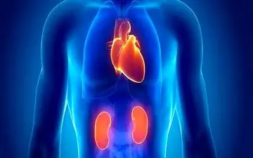 با این راهکار بیماری قلبی را دور بزنید 