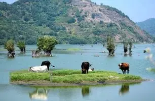 سفر کوتاه به بهشت گیلان؛ آرامش ناب تالاب استیل آستارا + ویدئو