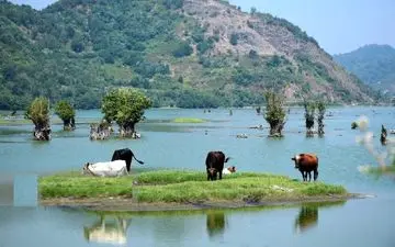 سفر کوتاه به بهشت گیلان؛ آرامش ناب تالاب استیل آستارا + ویدئو