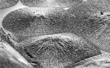 کشف روش تولید مینای دندان