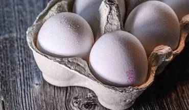 واردات تخم مرغ ترکیه‌ای در آینده نزدیک