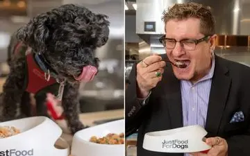  از دوشیدن مار تا بو کردن زیر بغل؛ ۱۱ شغل غیرمتعارف که شما را شگفت‌زده می‌کند