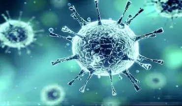 کشف سویه جدید ویروس کرونا در فرانسه