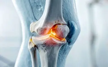 کشف عامل پنهان سرطان خون؛ نقش مخرب سلول‌های ایمنی در مغز استخوان