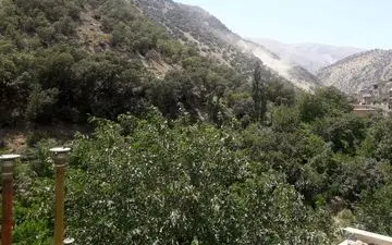 فوری / زلزله شدید کرمانشاه / بازگشت وحشت بین مردم