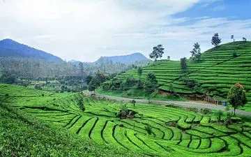 شهر باندونگ، پاریس کشور اندونزی