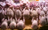 قیمت روز مرغ ۲۵ شهریور ۱۴۰۴؛ نرخ‌های جدید را اینجا ببینید!