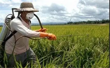 آغاز ثبت سفارش سموم آفات نباتی برای سال زراعی جدید از روزهای آینده