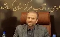 
دادستان کرمانشاه:خسارت دیدگان از اقدامات آشوبگران شکایت کنند