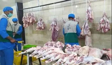 توزیع ۲۲۰۰ بسته گوشت بین خانواده های محروم،سهم مهربانی خادمیاران رضوی استان کرمانشاه