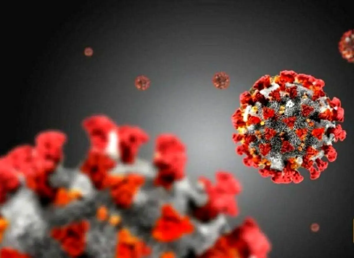 جمعه 24 مرداد| تازه ترین آمارها از همه گیری ویروس کرونا در جهان