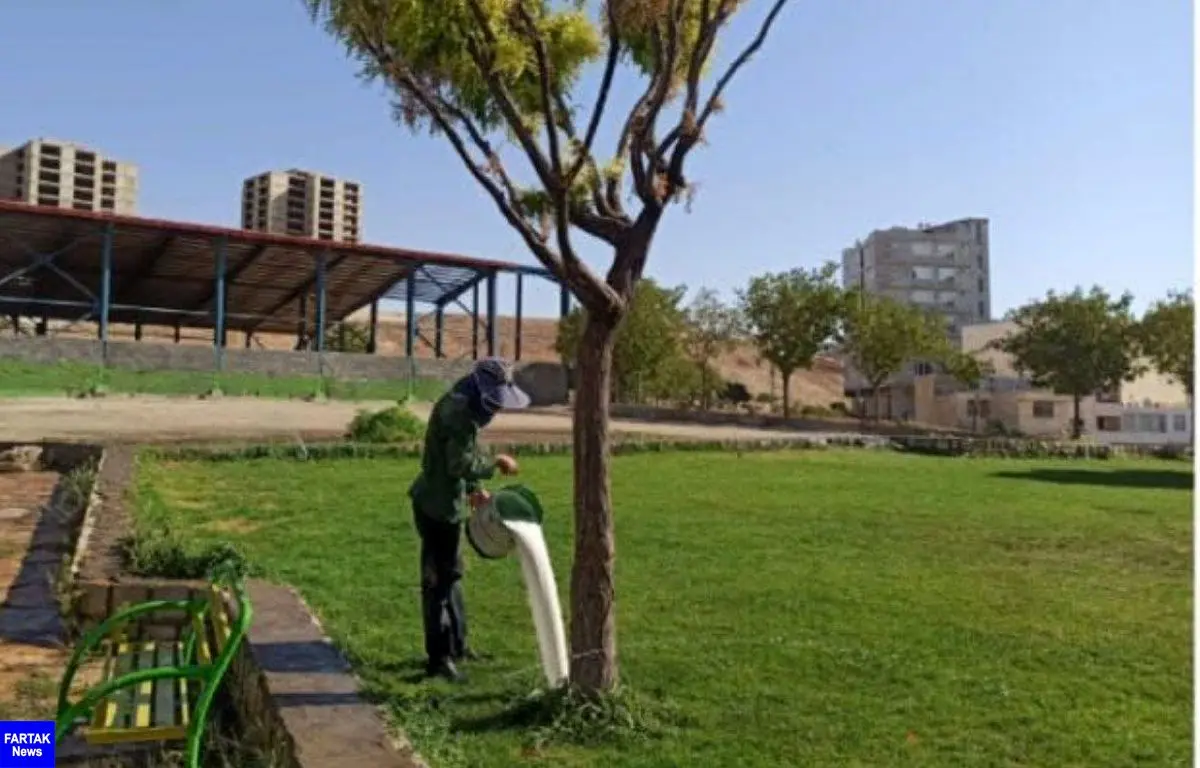 
آغاز عملیات مبارزه با بیماری فوزاریوم درختان اقاقیا در شهر کرمانشاه برای دومین سال پیاپی