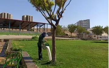 
آغاز عملیات مبارزه با بیماری فوزاریوم درختان اقاقیا در شهر کرمانشاه برای دومین سال پیاپی