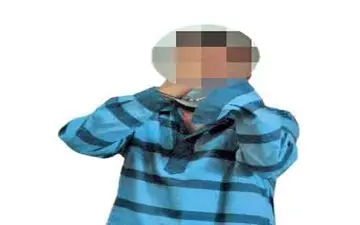 دستگیری مالباخته‌ای که تبدیل به سارق شد

