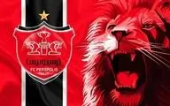 هاشمیان فرمان خرید صادر کرد؛ ۳ چهره جدید در راه پرسپولیس!
