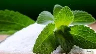 این گیاه یک جایگزین سالم برای قند مصنوعی
