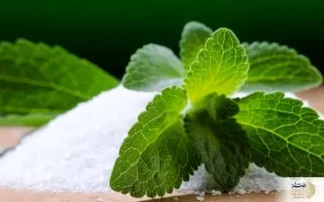 این گیاه یک جایگزین سالم برای قند مصنوعی
