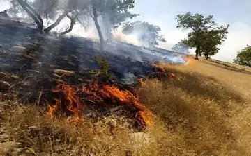 حریق در ارتفاعات «کوه شب» لارستان همچنان ادامه دارد / اعزام ‌بالگرد ‌برای انتقال نیروها و اطفای حریق‌ 