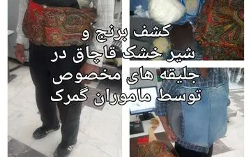 کشف چند محموله قاچاق دارویی، کشاورزی و برقی در گمرک های کشور