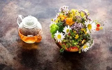 دمنوش‌هایی که بی‌حالی و رخوت بهار را از بدن دور می‌کند