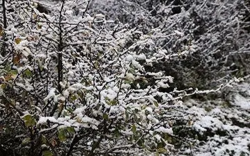  بارش برف و باران تا یکشنبه در آذربایجان شرقی ادامه دارد 