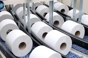 دستمال توالت چگونه تولید می‌شود؟ | مراحل ساخت از خمیر چوب تا بسته‌بندی + ویدئو جذاب