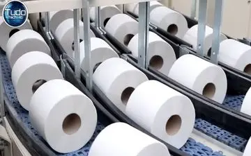 دستمال توالت چگونه تولید می‌شود؟ | مراحل ساخت از خمیر چوب تا بسته‌بندی + ویدئو جذاب