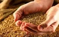  رسمی | قیمت خرید تضمینی گندم اعلام شد 