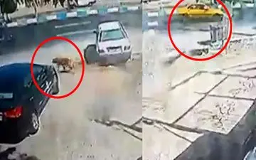 اتفاق تلخ برای دانش آموز 14 ساله در شهریار