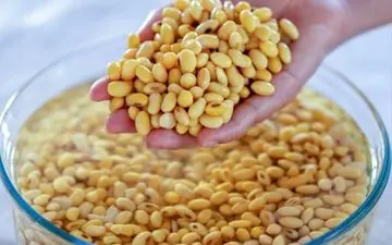 آیا باید حبوبات را قبل از پختن خیس کنید؟
