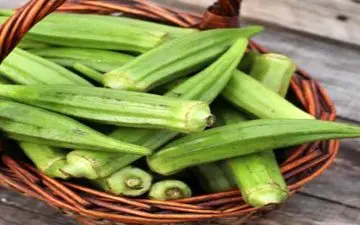 طرز خشک کردن صحیح  بامیه!