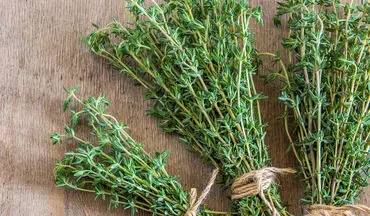 آنتی‌بیوتیک طبیعی طب سنتی برای درمان سرفه و عفونت‌های تنفسی