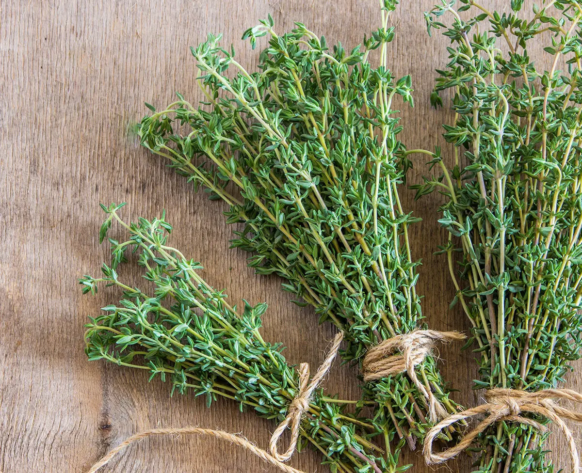 آنتیبیوتیک طبیعی طب سنتی برای درمان سرفه و عفونتهای تنفسی