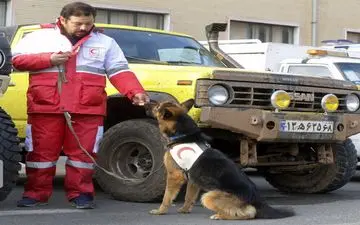 زلزله دماوند خسارت مالی و تلفات جانی نداشت