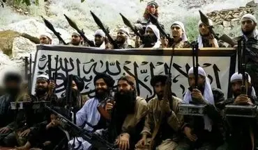 واکنش طالبان به تأیید خبر حضور بالگردهای نظامی در مناطق تحت تصرف این گروه 