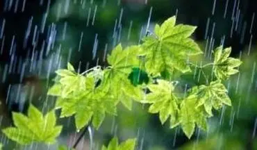 
جمعه 22 شهریور/پیش بینی بارش پراکنده در مازندران
