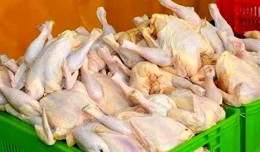  قیمت نهایی مرغ برای مصرف کننده در کرمان خارج از عرف است