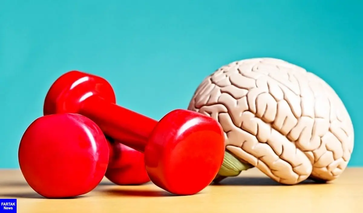 ورزش، راهی فعال برای تنظیم اکسیژن رسانی مغزی