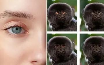 چشم‌های شما چه رازهایی را درباره شخصیتتان فاش می‌کنند؟
