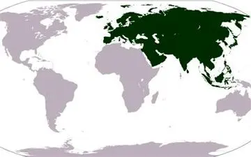ایران تعرفه واردات گندم را لغو نکرد 