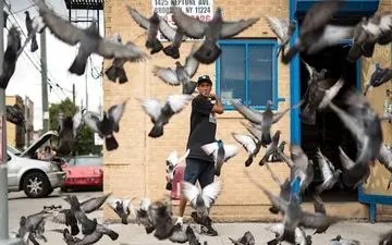  عکس منتخب نشنال جئوگرافیک | برای پرندگان