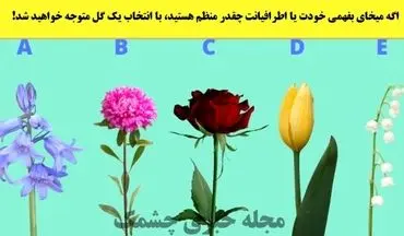 یک گل انتخاب کن تا بهت بگم چه قدر آدم منظمی هستی! 