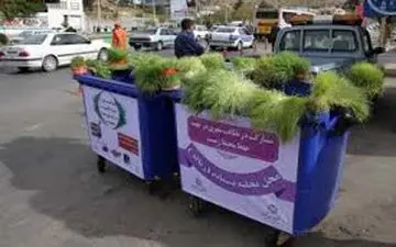 جهت حفاظت از محیط زیست/سبزه های عید نوروز در سطح شهر کرمانشاه جمع آوری می شوند