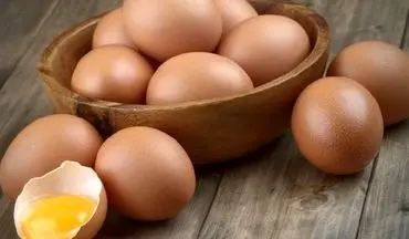 تخم‌مرغ ازامروز کیلویی به فروش می رسد 	 	 
