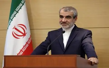 کدخدایی: صحت انتخابات مجلس در ۳۴ حوزه انتخابیه تایید شد