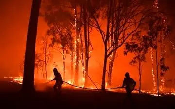 «وضعیت اضطراری آب‌وهوا» کلمه سال ۲۰۱۹ شد