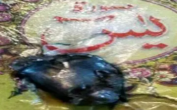 قران جیبی که جان مامور پلیس خاش را نجات داد / گلوله ای که در روی قلب متوقف شد+ عکس 