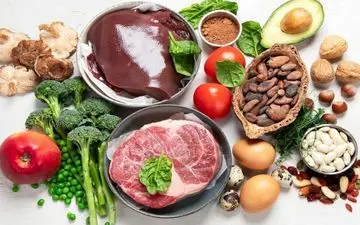 بهترین هضم کننده های غذا 

